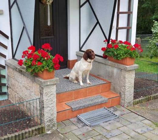 Ferienhaus Harztraum