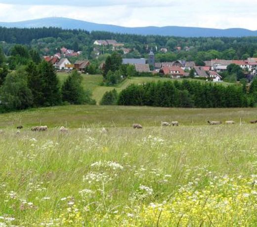 Ferienhaus Muller