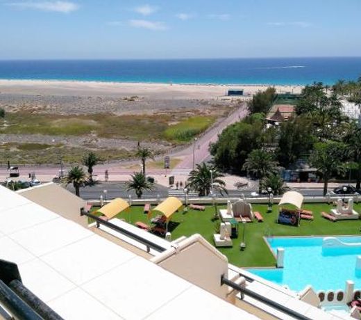 Apartments Palm Garden