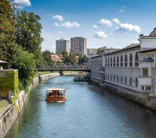 Apartment Fine Dalmatinova