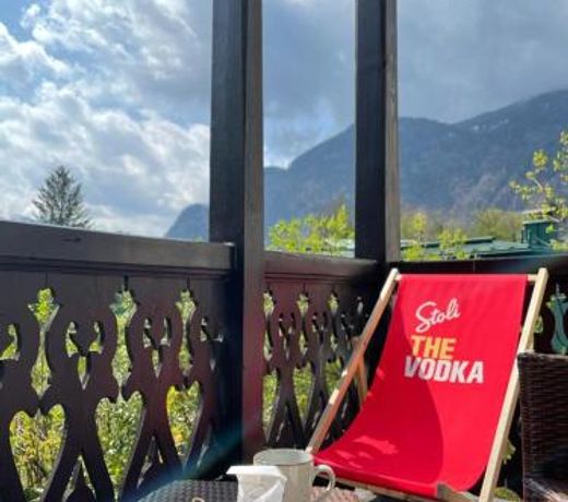 Ferienappartment zum grunen Hirsch