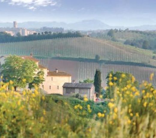 Sanlucchese 3