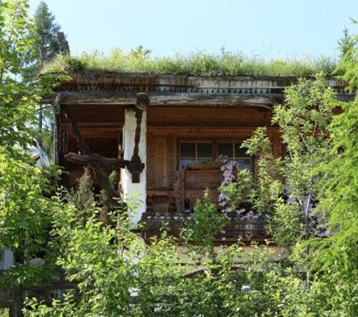 Chalet Alm Planai