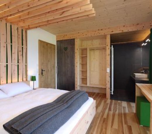 Chalet Alm Planai