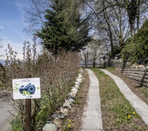 B&B Il Mirtillo