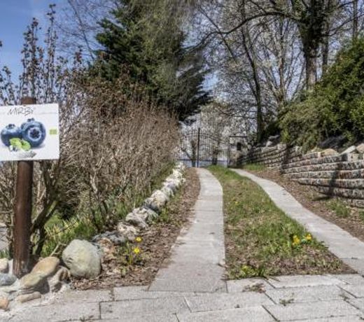 B&B Il Mirtillo
