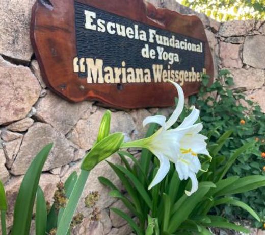 Asharam Asociación Argentina de Yoga