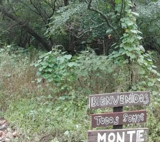 Casita serrana