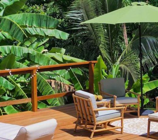 Little Diamond, Wooden Jungle House. Bathsheba.