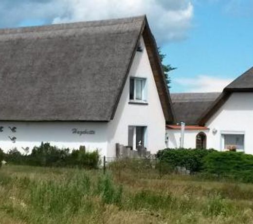 Hagebutte