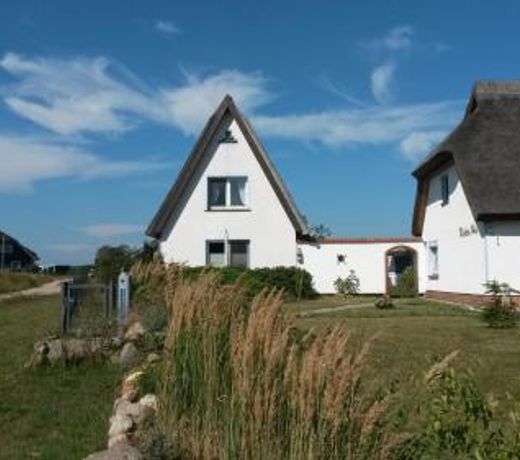 Hagebutte