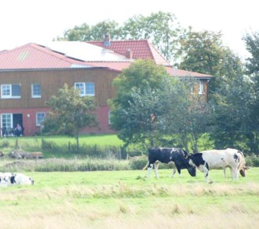 SchÃ¤ferhof Dircks Fewo 3