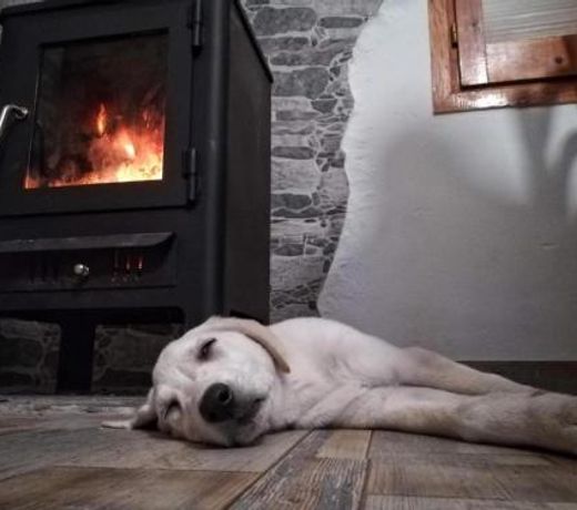 Hauzify I Ca la Nena Morena