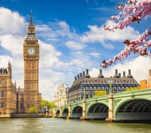 Spacious 2 Bed Urban Jungle Flat, Central London