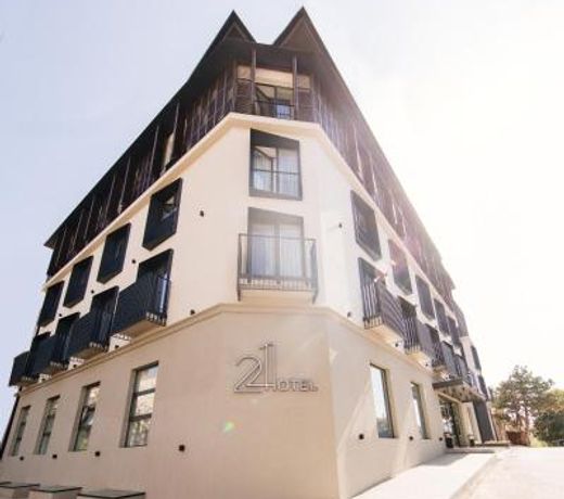 Hotel 21