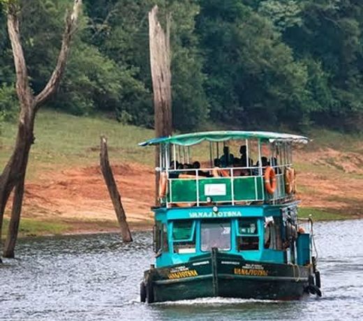 Thekkady kappa homestay