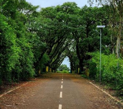 Regal Panhala Residency
