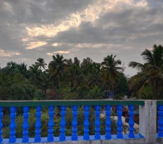 Mandrem Retreat Beach resort