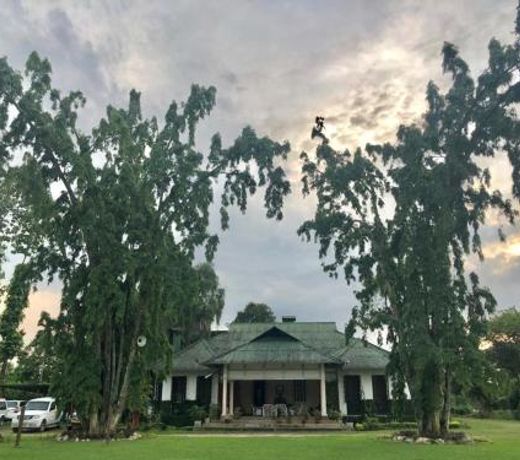 Nahorjan Tea Homestay