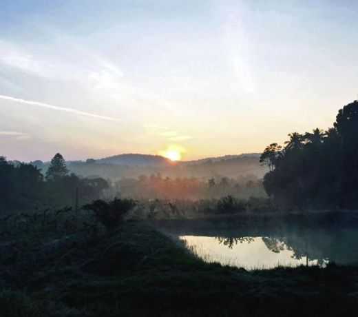 STAYMAKER Turtle Pond Home Stay