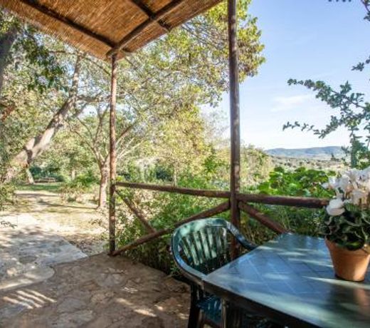 Gelsomina- Agriturismo La Valentina