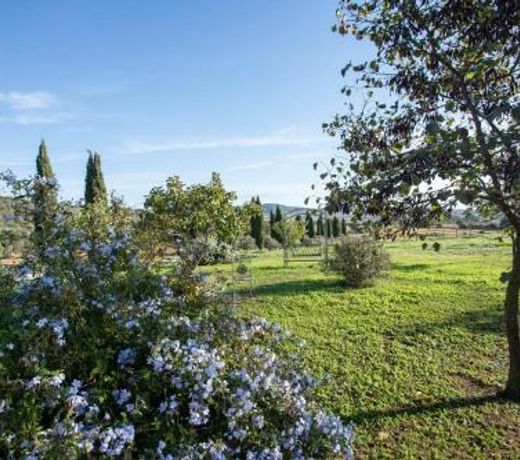 Gelsomina- Agriturismo La Valentina