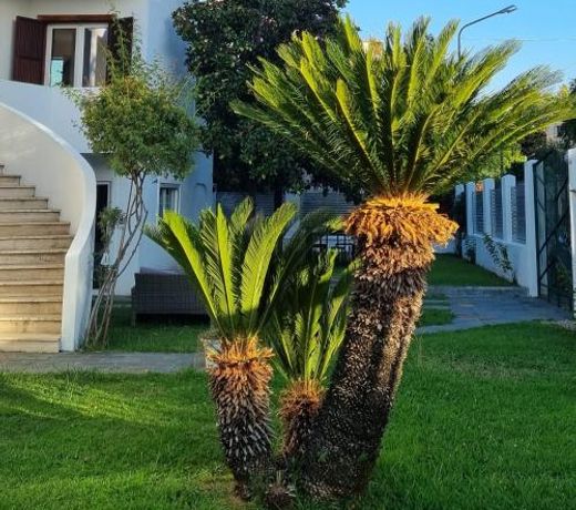 Residenza Margot