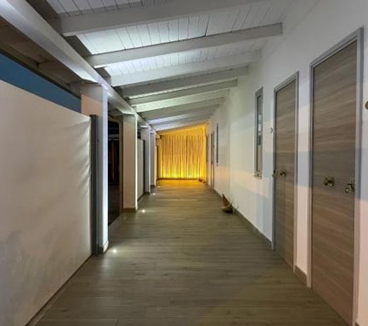 BENJOI CAMERE