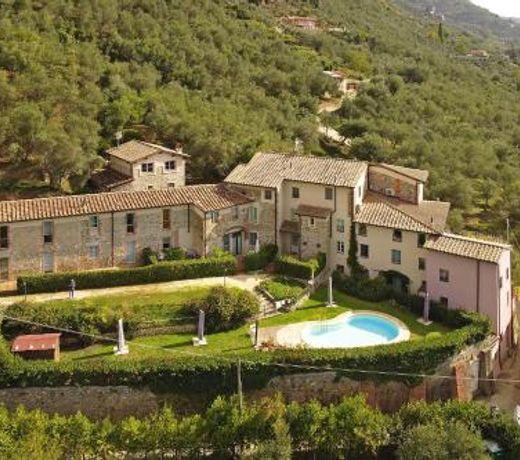 Tiglio Grillo - Happy Rentals
