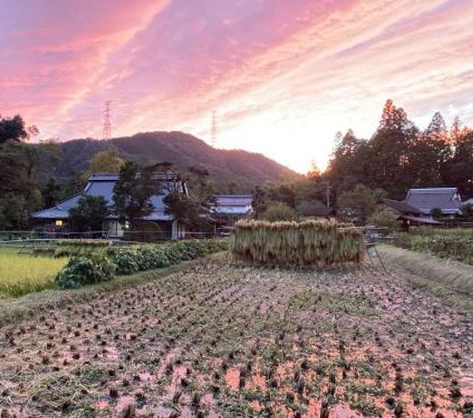 ä¸æ±ä¸èã®å®¿ãã¡ãã¶ãã¤ãã³ã° Ichiju Issai no Yado Chabu Dining Unforgettable Farmstay experience in Deep Kyoto