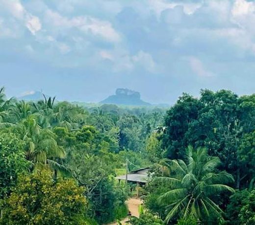 WILD FORTRESS HOTEL Sigiriya
