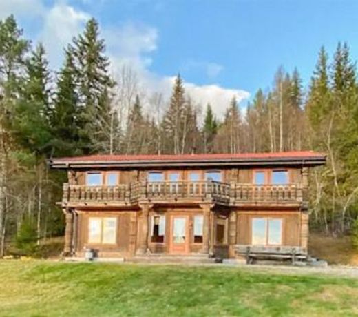Stunning home in Eggedal with 5 Bedrooms