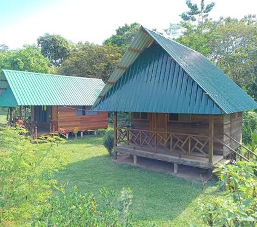Quirquincho House