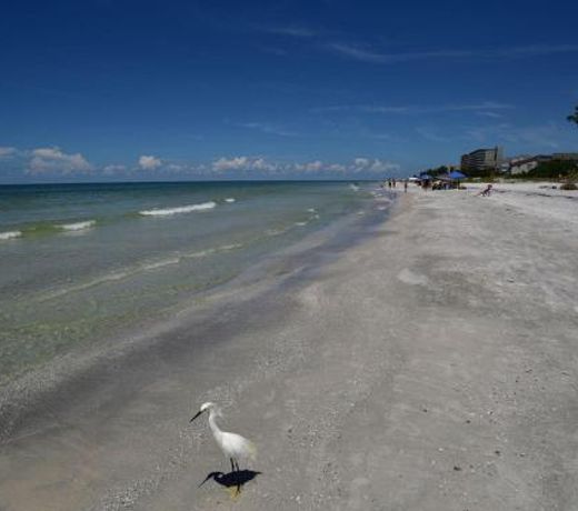 Gulf Retreat 2: Magnificent Water Views, Steps to Beach, None Cleaner, None Nicer!