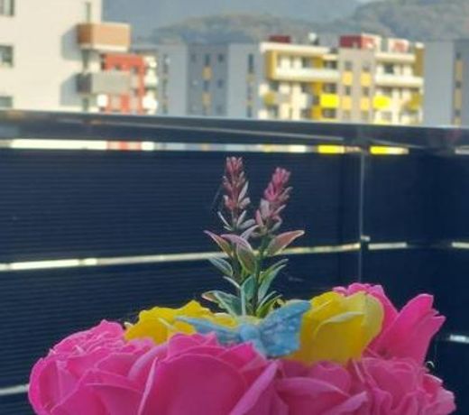 Apartment Altipiani Panoramic Silver