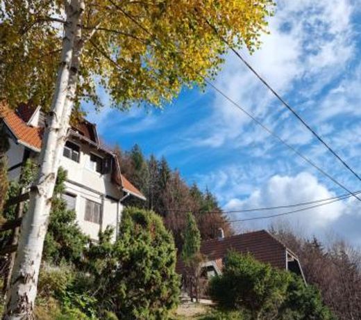 APARTMAN NA STAZI - Bela Reka, Kopaonik