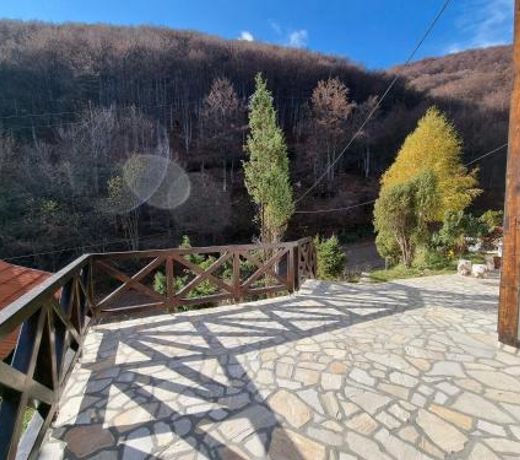 APARTMAN NA STAZI - Bela Reka, Kopaonik