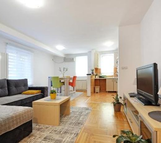 Lion Apartment - Belgrade