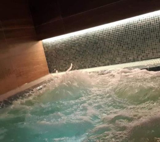 Apartman Oaza Kalman SPA-GYM