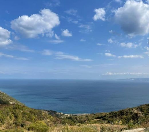 Shark SeaView Villa