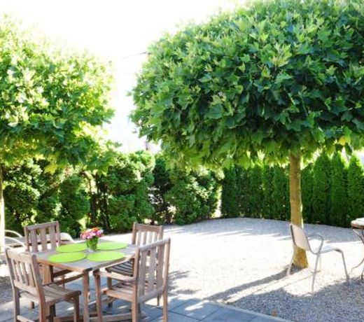 Ferienhaus Sunny