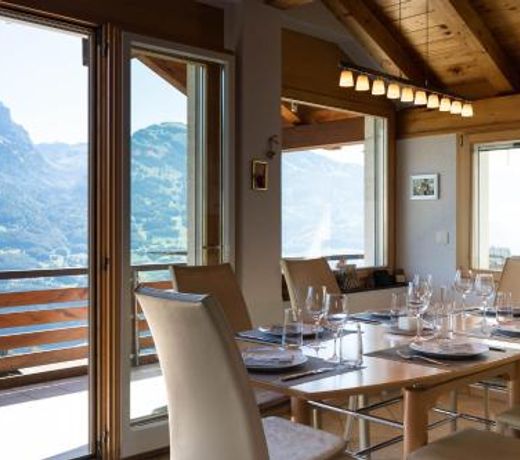 Apartment Penthouse Brugg