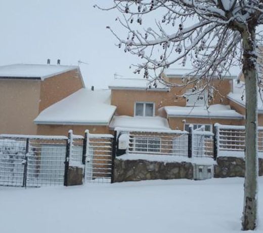 Serengueti