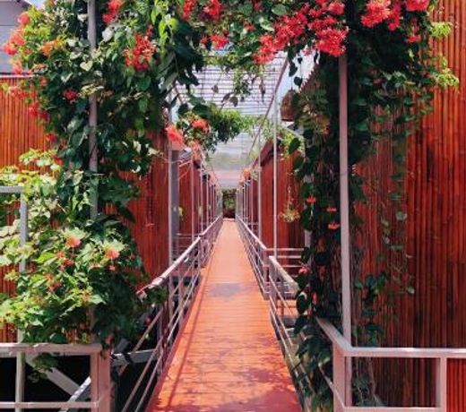 Cato Homestay