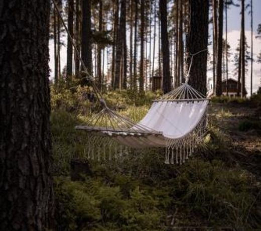 ForRest unikt designat hus mitt i skogen