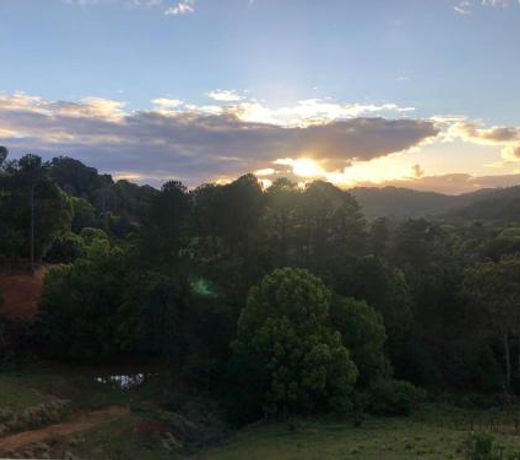 Currumbin Valley View Cottage