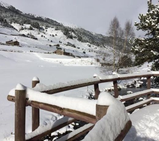 EL RACONET D'INCLES - Peu del Riu 109 - Vall d'Incles - Soldeu - HUT 8179