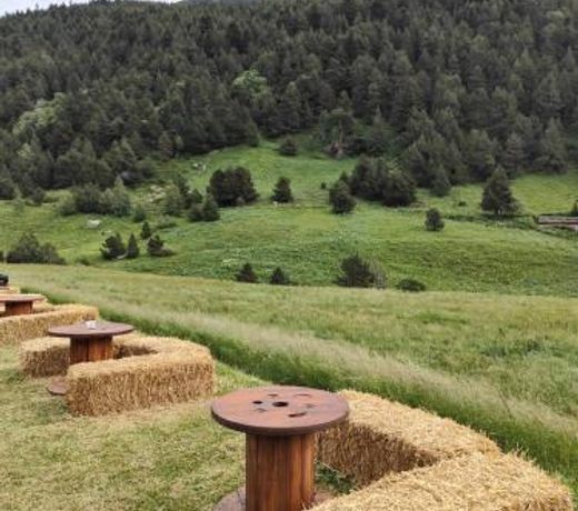 EL RACONET D'INCLES - Peu del Riu 109 - Vall d'Incles - Soldeu - HUT 8179