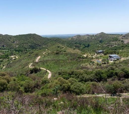 CabaÃ±a Molle by Lugar