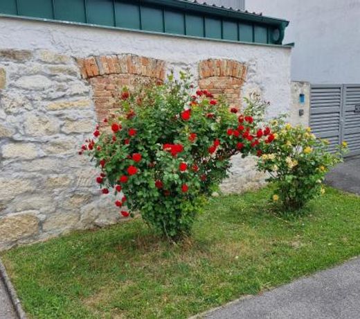 Ferienhaus RADO